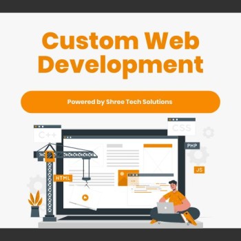 Custom Web Development